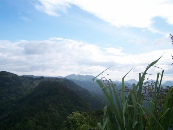 RefreshToView