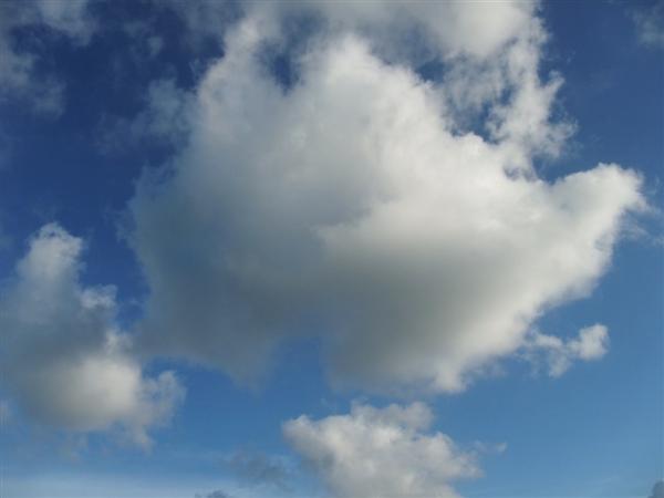 RefreshToView